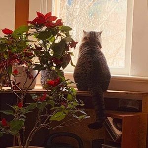 Meet your Posher, Chantal